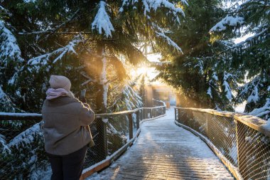 Gökyüzü Köprüsü 721, Aşağı Moravya, Çek Cumhuriyeti - 1 Aralık 2024: Akşam güneşinin altında karla kaplı çam ağaçları arasında tahta yürüyüş yolu (rota). Çek Cumhuriyeti 'nde Dağ tatil beldesi Dolni Morava
