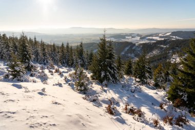 Güneş ışınlarında karla kaplı köknar ağaçları olan dağ manzarası.