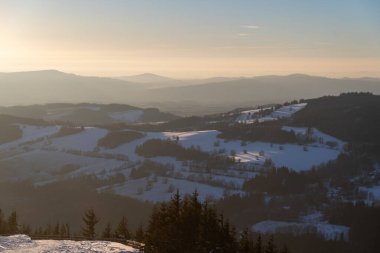 Güneş ışınlarında karla kaplı köknar ağaçları olan dağ manzarası.