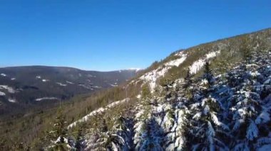 Güneş ışınlarında karla kaplı köknar ağaçları olan dağ manzarası.