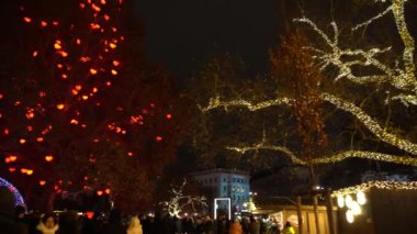 Viyana, Avusturya - 13 Aralık 2024: Rathaus Park ve Viyana Belediye Binası akşam manzarası. Noel pazarı. Yeni yıl aydınlanması. Meydandaki insanlar.