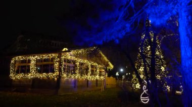 Viyana, Avusturya - 13 Aralık 2024: Rathaus Park ve Viyana Belediye Binası akşam manzarası. Noel pazarı. Yeni yıl aydınlanması. Meydandaki insanlar.