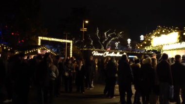 Viyana, Avusturya - 13 Aralık 2024: Rathaus Park ve Viyana Belediye Binası akşam manzarası. Noel pazarı. Yeni yıl aydınlanması. Meydandaki insanlar.