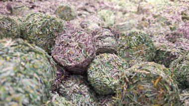 Paramparça edilmiş ve yok edilmiş Euro banknotlarının yakın plan görüntüleri, mali krizleri, ekonomik çöküşü veya yasadışı para imhası sembolize ediyor. Düz bir yüzeye saçılmış renkli para birimleri tam bir görsel zıtlık yaratıyor. İllus için ideal.