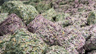 Paramparça edilmiş ve yok edilmiş Euro banknotlarının yakın plan görüntüleri, mali krizleri, ekonomik çöküşü veya yasadışı para imhası sembolize ediyor. Düz bir yüzeye saçılmış renkli para birimleri tam bir görsel zıtlık yaratıyor. İllus için ideal.