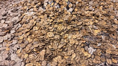 Mali krizleri, ekonomik çöküşü veya yasadışı para imhası sembolize eden bükümlü ve tahrip edilmiş avro sent paralarının yakın çekimi. Sikkeler yüzeyin her tarafına dağılmış. Keskin bir görsel kontrastı oluşturuyor. Parasal gibi kavramları resmetmek için ideal 