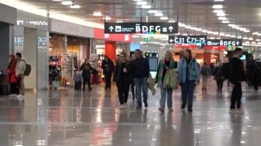 Viyana, Avusturya - 18 Ocak 2025: Viyana Havaalanı 'nın kapısındaki yolcular. Turistler uçağa binmek için sırada bekliyorlar. Giriş kapısı, biniş belgelerini kontrol edin..