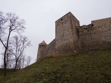 Brno, Çek Cumhuriyeti - 25 Ocak 2025: Veve Şatosu - bir kraliyet kalesi, bir ortaçağ mimarisi abidesi, Brno Reservoir yakınlarında, Svratka Nehri 'nde keskin bir virajda, ağaçlık bir pelerin üzerinde.