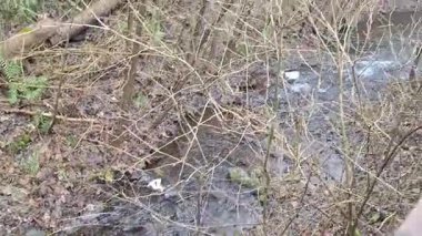 Brno, Çek Cumhuriyeti - 25 Ocak 2025: Şatodan Svratka Nehri 'ne giden ahşap yol, Veverka deresinin aktığı yer..