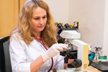 Brno, Çek Cumhuriyeti - 28 Mart 2025: Laboratuvar testleri. Bir veteriner mikroskoba bakar..