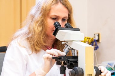 Brno, Çek Cumhuriyeti - 28 Mart 2025: Laboratuvar testleri. Bir veteriner mikroskoba bakar..