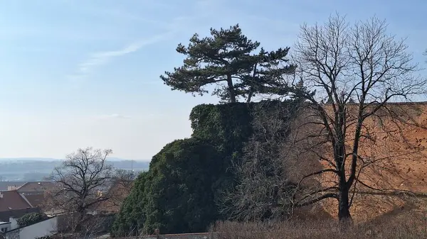 Mikulov, Çek Cumhuriyeti - 11 Şubat 2025: Moravya 'nın tarihi Mikulov kasabası. Şehir manzarası