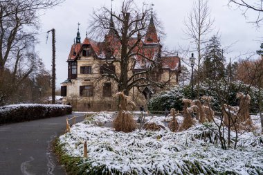 Zlin, Çek Cumhuriyeti - 15 Şubat 2025: Hayvanat bahçesindeki hayvanlar. Kışın hayvanat bahçesi.