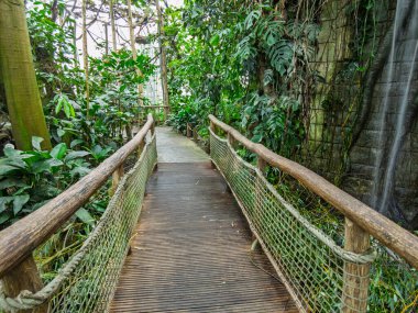 Zlin, Çek Cumhuriyeti - 15 Şubat 2025: Hayvanat bahçesindeki hayvanlar. Tropiklerin Pavyonu. Tropik bitkiler. Tahta köprü