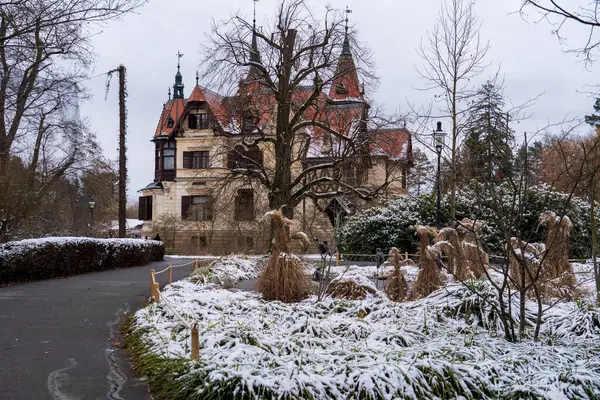 Zlin, Çek Cumhuriyeti - 15 Şubat 2025: Hayvanat bahçesindeki hayvanlar. Kışın hayvanat bahçesi.