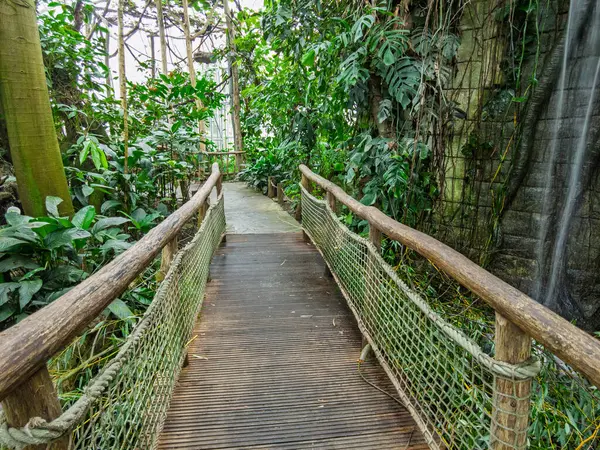 Zlin, Çek Cumhuriyeti - 15 Şubat 2025: Hayvanat bahçesindeki hayvanlar. Tropiklerin Pavyonu. Tropik bitkiler. Tahta köprü