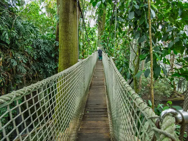 Zlin, Çek Cumhuriyeti - 15 Şubat 2025: Hayvanat bahçesindeki hayvanlar. Tropiklerin Pavyonu. Tropik bitkiler. Tahta köprü
