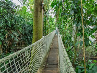 Zlin, Çek Cumhuriyeti - 15 Şubat 2025: Hayvanat bahçesindeki hayvanlar. Tropiklerin Pavyonu. Tropik bitkiler. Tahta köprü