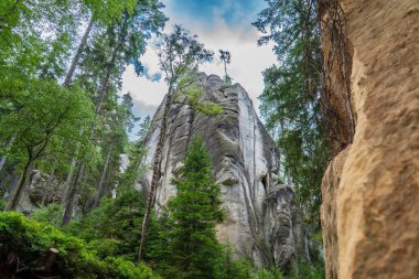 Adrspach, Çek Cumhuriyeti - 20.07.2025: Piskovna Gölü 'ndeki Adrspach-Teplice Kayaları manzarası. Orman ve kayalar.