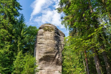 Adrspach, Çek Cumhuriyeti - 20.07.2025: Piskovna Gölü 'ndeki Adrspach-Teplice Kayaları manzarası. Orman ve kayalar.