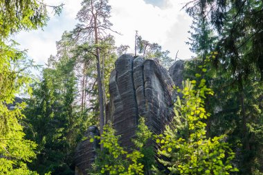 Adrspach, Çek Cumhuriyeti - 20.07.2025: Piskovna Gölü 'ndeki Adrspach-Teplice Kayaları manzarası. Orman ve kayalar.