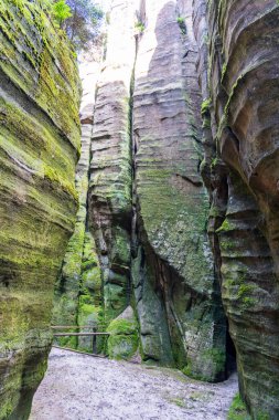 Adrspach, Çek Cumhuriyeti - 20.07.2025: Piskovna Gölü 'ndeki Adrspach-Teplice Kayaları manzarası. Orman ve kayalar.