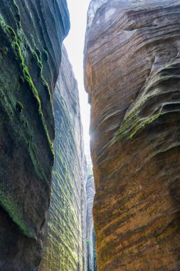 Adrspach, Çek Cumhuriyeti - 20.07.2025: Piskovna Gölü 'ndeki Adrspach-Teplice Kayaları manzarası. Orman ve kayalar.