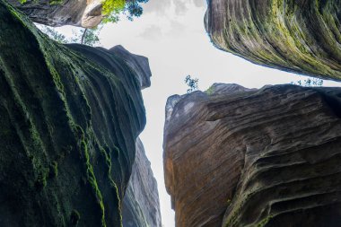 Adrspach, Çek Cumhuriyeti - 20.07.2025: Piskovna Gölü 'ndeki Adrspach-Teplice Kayaları manzarası. Orman ve kayalar.