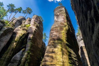 Adrspach, Çek Cumhuriyeti - 20.07.2025: Piskovna Gölü 'ndeki Adrspach-Teplice Kayaları manzarası. Orman ve kayalar.