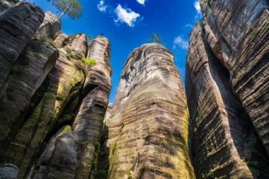 Adrspach, Çek Cumhuriyeti - 20.07.2025: Piskovna Gölü 'ndeki Adrspach-Teplice Kayaları manzarası. Orman ve kayalar.
