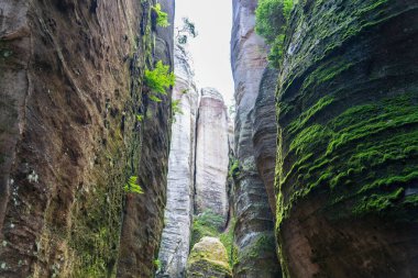Adrspach, Çek Cumhuriyeti - 20.07.2025: Piskovna Gölü 'ndeki Adrspach-Teplice Kayaları manzarası. Orman ve kayalar.