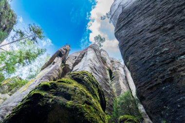 Adrspach, Çek Cumhuriyeti - 20.07.2025: Piskovna Gölü 'ndeki Adrspach-Teplice Kayaları manzarası. Orman ve kayalar.