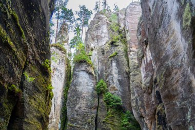 Adrspach, Çek Cumhuriyeti - 20.07.2025: Piskovna Gölü 'ndeki Adrspach-Teplice Kayaları manzarası. Orman ve kayalar.