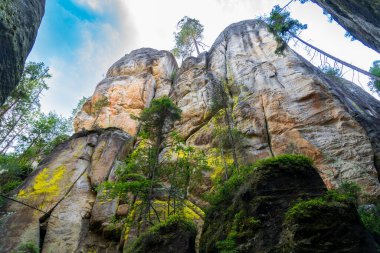 Adrspach, Çek Cumhuriyeti - 20.07.2025: Piskovna Gölü 'ndeki Adrspach-Teplice Kayaları manzarası. Orman ve kayalar.