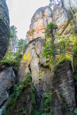 Adrspach, Çek Cumhuriyeti - 20.07.2025: Piskovna Gölü 'ndeki Adrspach-Teplice Kayaları manzarası. Orman ve kayalar.