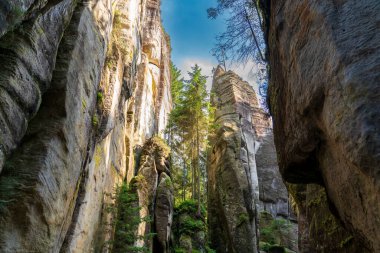 Adrspach, Çek Cumhuriyeti - 20.07.2025: Piskovna Gölü 'ndeki Adrspach-Teplice Kayaları manzarası. Orman ve kayalar.