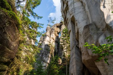 Adrspach, Çek Cumhuriyeti - 20.07.2025: Piskovna Gölü 'ndeki Adrspach-Teplice Kayaları manzarası. Orman ve kayalar.