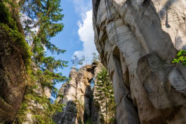 Adrspach, Çek Cumhuriyeti - 20.07.2025: Piskovna Gölü 'ndeki Adrspach-Teplice Kayaları manzarası. Orman ve kayalar.