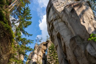 Adrspach, Çek Cumhuriyeti - 20.07.2025: Piskovna Gölü 'ndeki Adrspach-Teplice Kayaları manzarası. Orman ve kayalar.