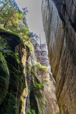 Adrspach, Çek Cumhuriyeti - 20.07.2025: Piskovna Gölü 'ndeki Adrspach-Teplice Kayaları manzarası. Orman ve kayalar.