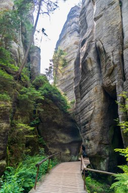 Adrspach, Çek Cumhuriyeti - 20.07.2025: Piskovna Gölü 'ndeki Adrspach-Teplice Kayaları manzarası. Orman ve kayalar.
