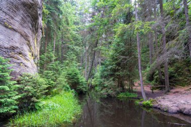 Adrspach, Çek Cumhuriyeti - 20.07.2025: Piskovna Gölü 'ndeki Adrspach-Teplice Kayaları manzarası. Ağaçların ve kayaların arasında bir orman gölü.
