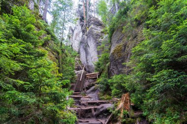 Adrspach, Çek Cumhuriyeti - 20.07.2025: Piskovna Gölü 'ndeki Adrspach-Teplice Kayaları manzarası. Orman ve kayalar.