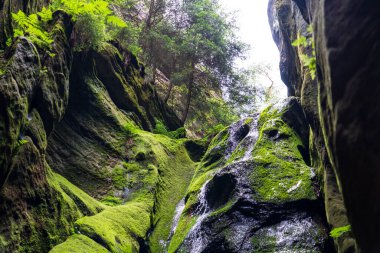 Adrspach, Çek Cumhuriyeti - 20.07.2025: Piskovna Gölü 'ndeki Adrspach-Teplice Kayaları manzarası. Orman ve kayalar. Büyük şelale