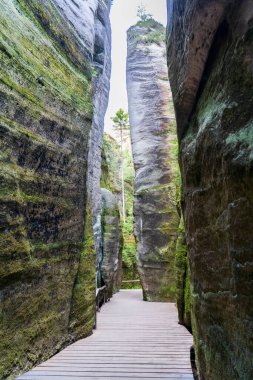 Adrspach, Çek Cumhuriyeti - 20.07.2025: Piskovna Gölü 'ndeki Adrspach-Teplice Kayaları manzarası. Orman ve kayalar.