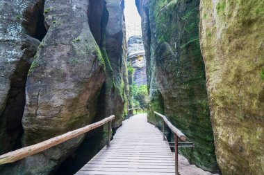 Adrspach, Çek Cumhuriyeti - 20.07.2025: Piskovna Gölü 'ndeki Adrspach-Teplice Kayaları manzarası. Orman ve kayalar.