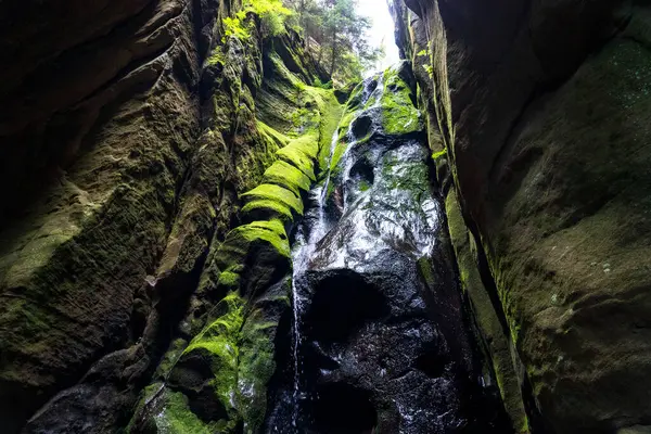 Adrspach, Çek Cumhuriyeti - 20.07.2025: Piskovna Gölü 'ndeki Adrspach-Teplice Kayaları manzarası. Orman ve kayalar. Büyük şelale