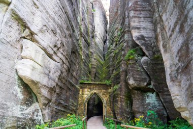 Adrspach, Çek Cumhuriyeti - 20.07.2025: Piskovna Gölü 'ndeki Adrspach-Teplice Kayaları manzarası. Orman ve kayalar.