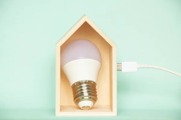 Led灯泡安放在一座小木结构的房子里 充电电缆是在一个孤立的背景下从房子里发出的 节省了房子里的电 — 图库照片