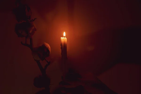 Гілка Сухою Бавовною Полум Свічки Ізольованому Тлі Темряві Тіні Бавовна — стокове фото